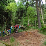 2011 - Marianówka