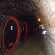 2011 - Trzy Stolice Naddunajskie - Winnica