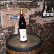 2011 - Trzy Stolice Naddunajskie - Winnica