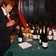 2011 - Trzy Stolice Naddunajskie - Winnica