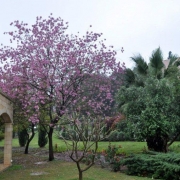 2011 - Ziemia Święta IV