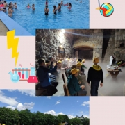 IMG_207E95C8BE24-1