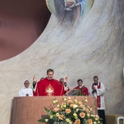 Błogosławieństwo prymicyjne.