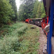 IMG-20251105-WA0002