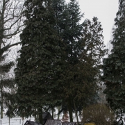 Grabonóg - park z miniaturami wiejskiem zabudowy.