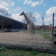 Wrocław - afrykarium – oceanarium.