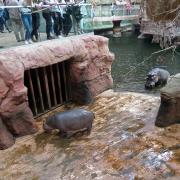 Wrocław - afrykarium – oceanarium.